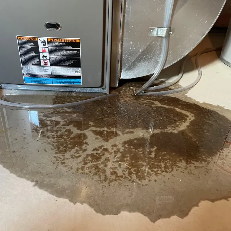 Appliance Leak Cleanup in Five Points, FL